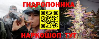 ПСИЛОЦИБИНОВЫЕ ГРИБЫ Волгодонск