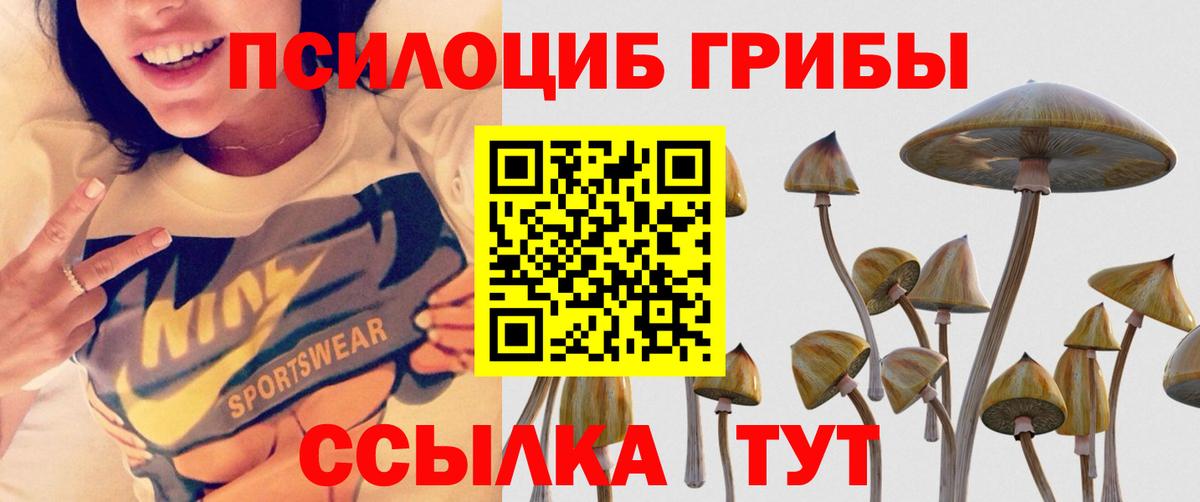 Псилоцибиновые грибы прущие грибы  Вход с VPN  Нижний Новгород 